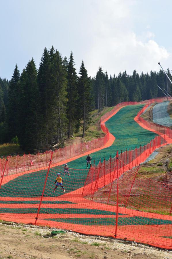 Milmari Resort - Apartman L43 Kopaonik Exterior foto